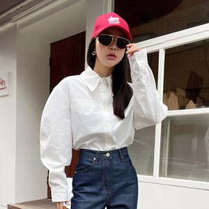 masion-de-nolita27295