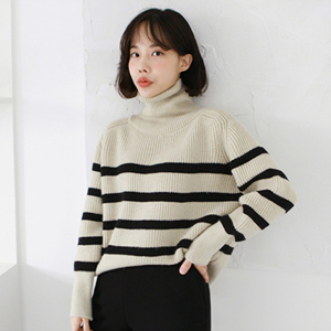 gaenso519665