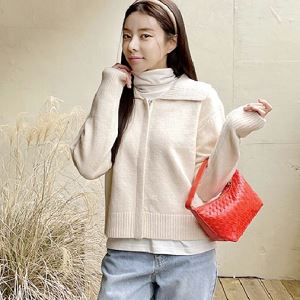 gaenso522783