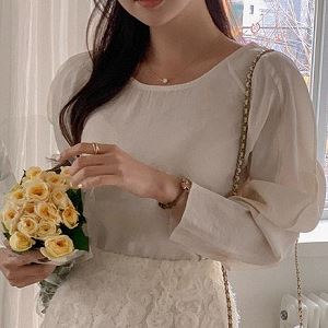 reine11337